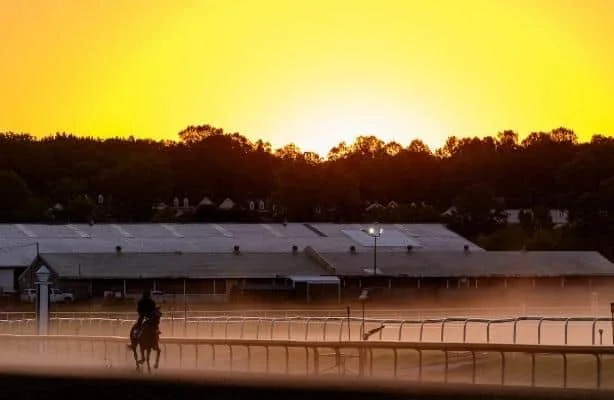 Preakness 2026: HRN Writers Reveal Their Top Picks