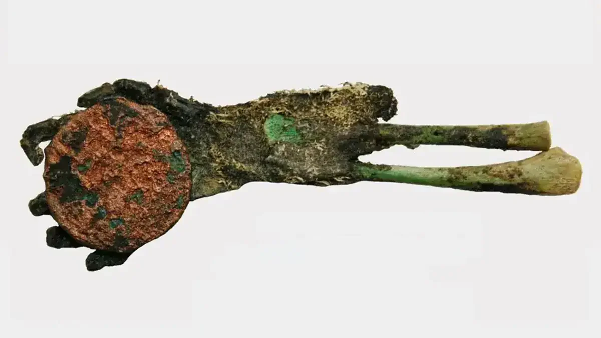 Green Relic Hand: Copper Coin Preserves 150-Year-Old Hungarian Infant
