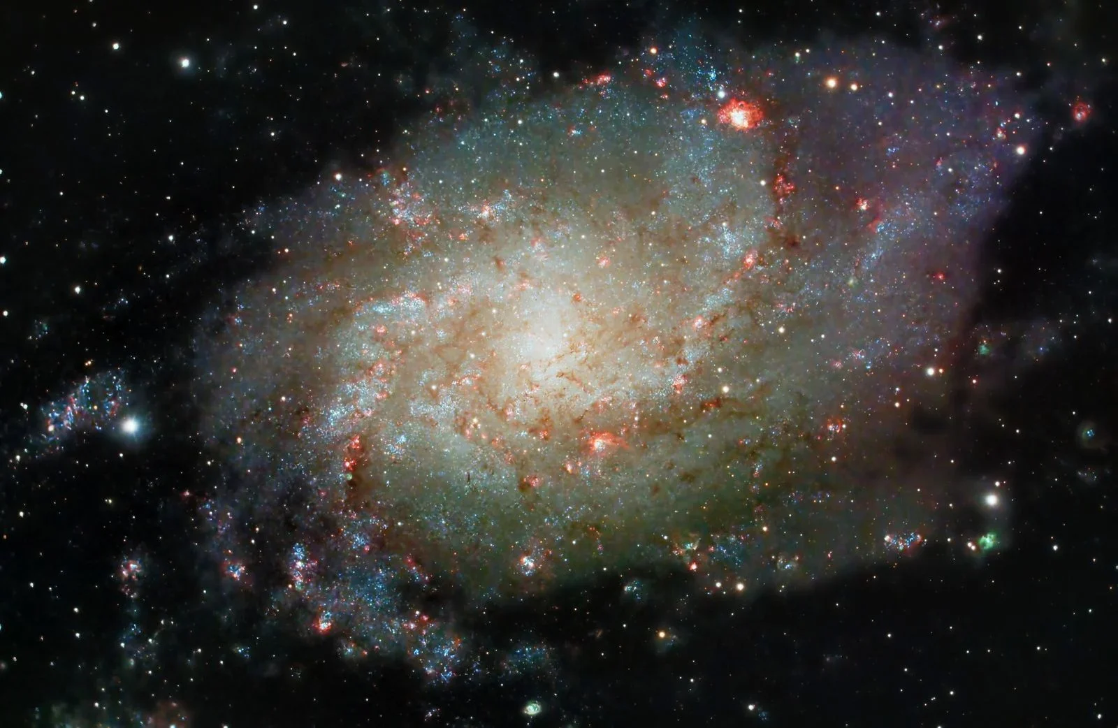 Bow-and-Arrow Galaxy BAARG Signals Supersonic Dive into a Galaxy Cluster