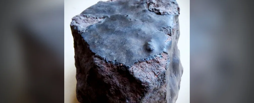The Return of a Meteorite: A Journey Through Time
