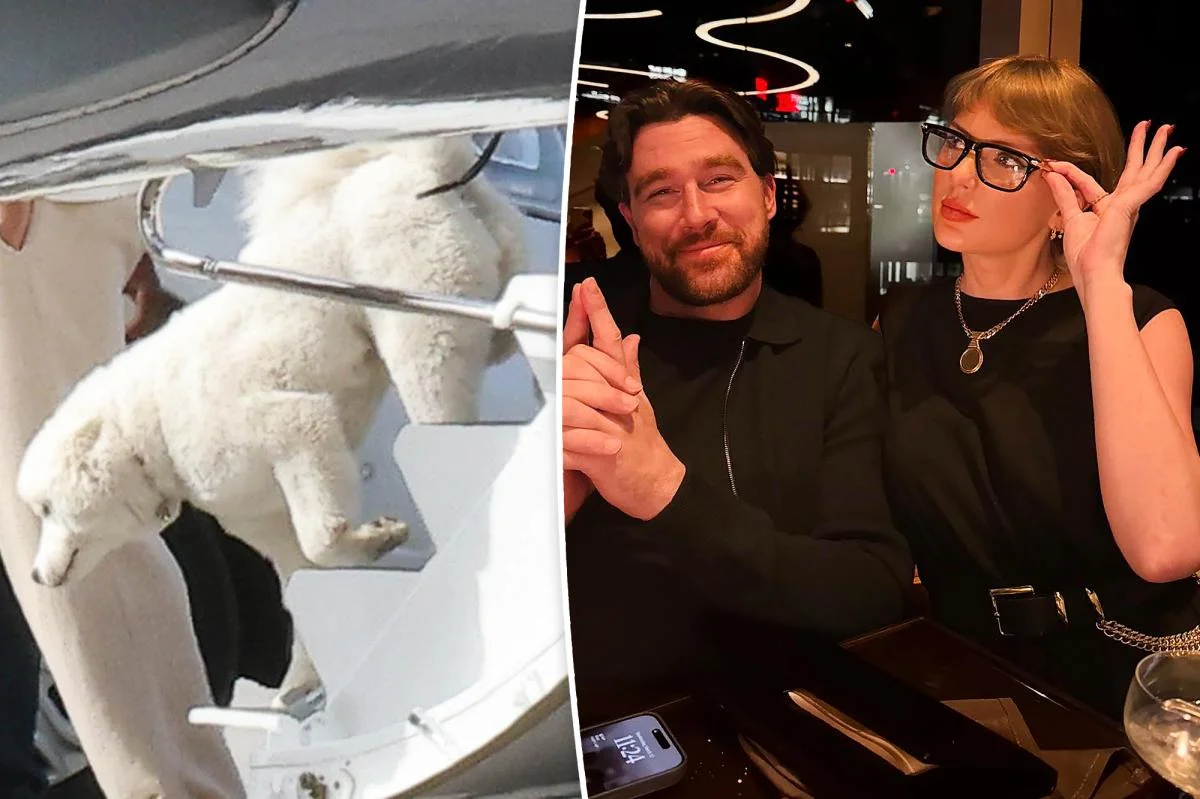 Swift-Kelce's White Dog Steals the Spotlight