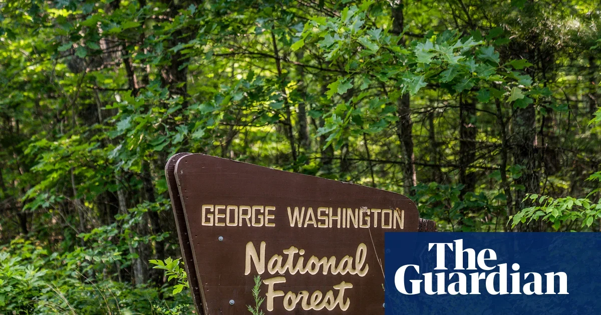 Trump to Roll Back Roadless Protections, Opening Millions of Acres of U.S. Forests to Development