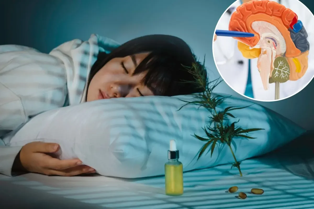Cannabis at Bedtime: Does it Improve Sleep or Simply Reshape It?