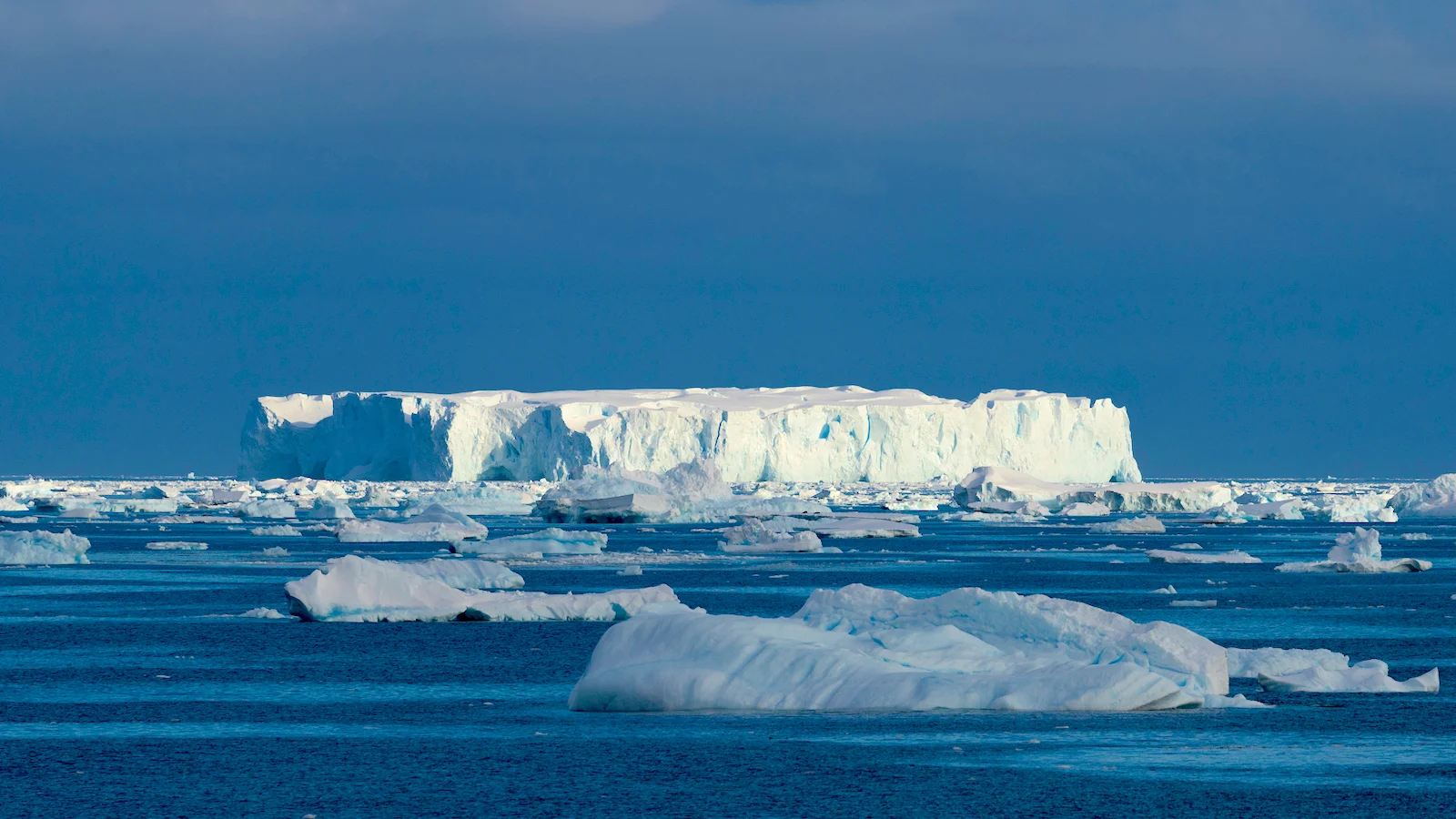Ocean Circulation Collapse Sparks Concerns