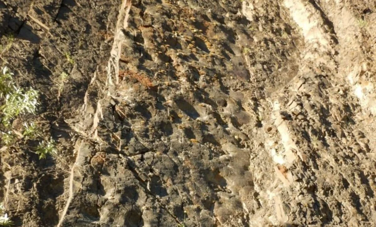 Sunset Unmasks Denali’s Vast Dinosaur Tracksite