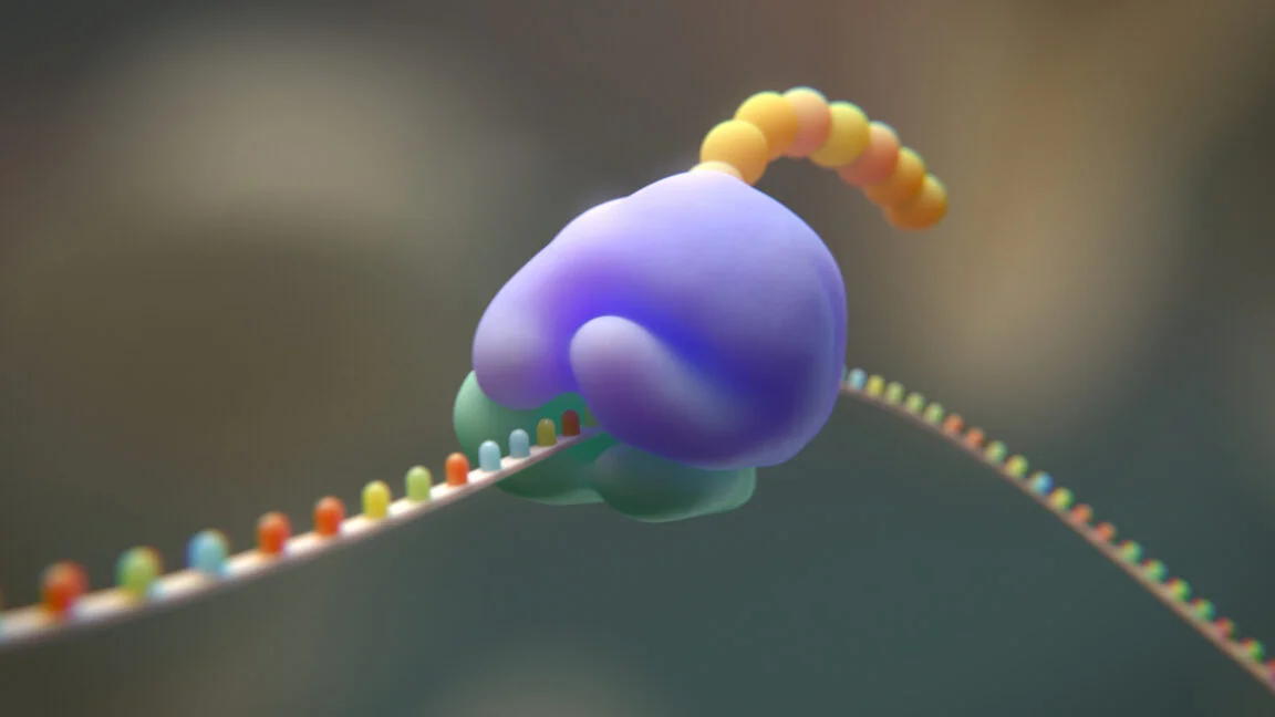 AI-guided ribosome redesign trims the genetic code from 20 to 19 amino acids
