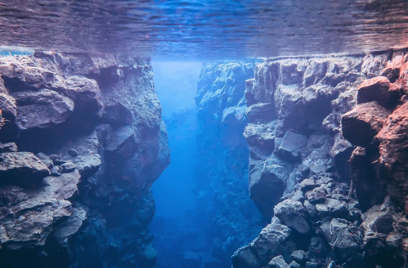 Scientists Capture Direct Birth of Ocean Floor at Mid-Ocean Ridge