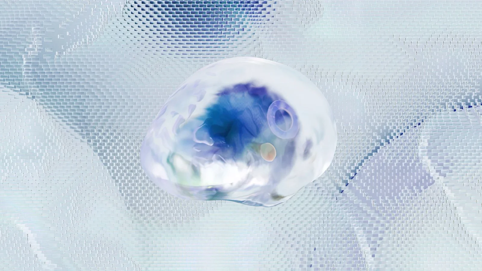 Adult Brains Form New Neurons Even at 78, Rewriting Neurogenesis Rules