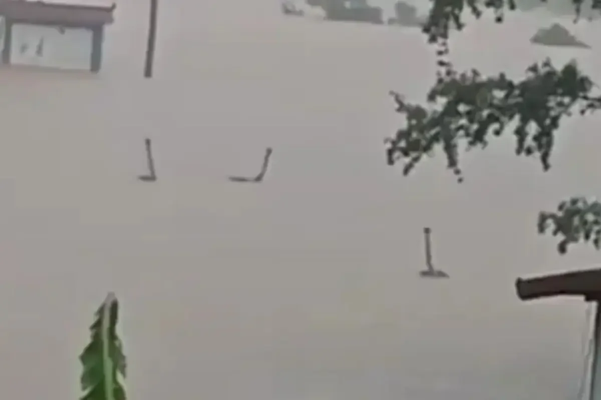 Hengzhou Floods Push Hundreds of Venomous Snakes into Town