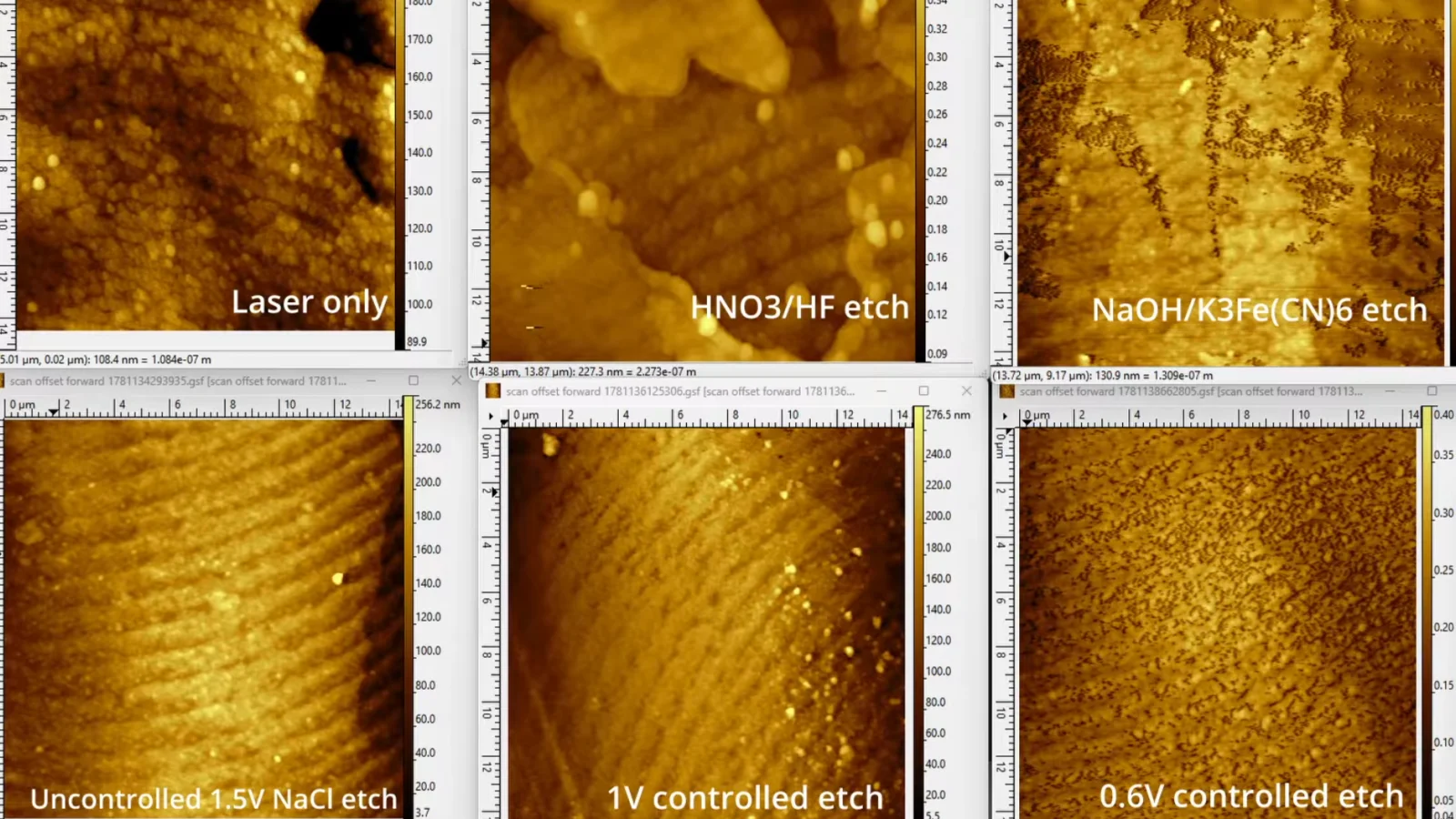Peering into the Nanoscale: AFM Images Bacteria, Nanoprisms, and More