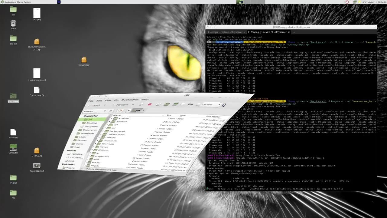 Rusty X11 Rival: yserver Aims to Replace Xorg with a Leaner Rust Display Server