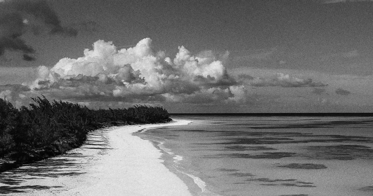 Bahamas Disappearance Sparks Arrest in Lynette Hooker Case