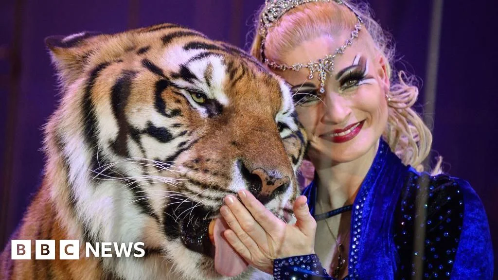 Police shoot escaped tiger near Leipzig after keeper attack