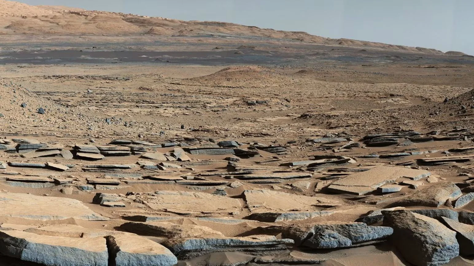 Mars hints at a long-lived ocean through a vast ancient coastline