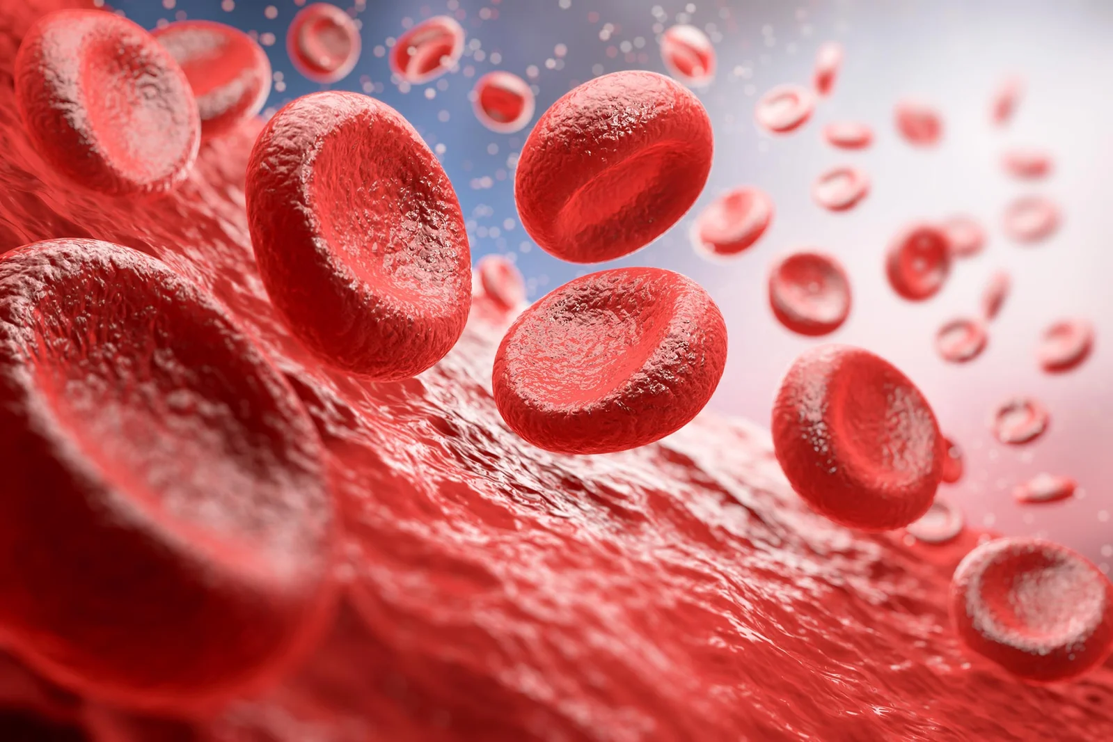 MAL Blood Group Discovered, Ending a 50-Year AnWj Mystery