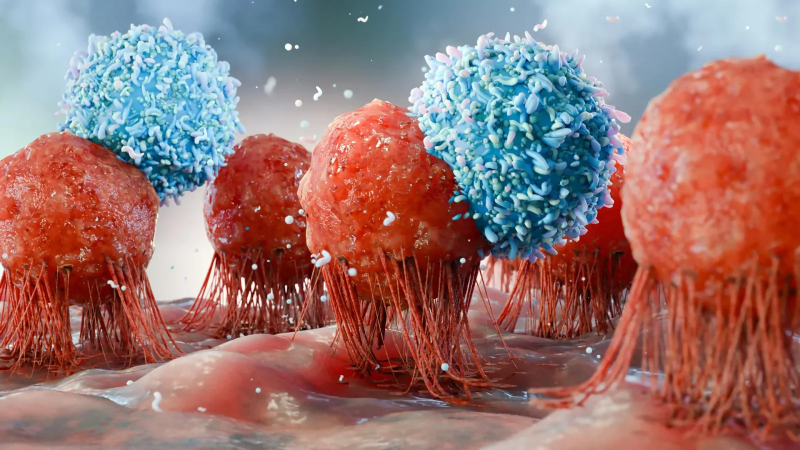Dietary Yeast Trains Immune System to Fight Cancer in Mice