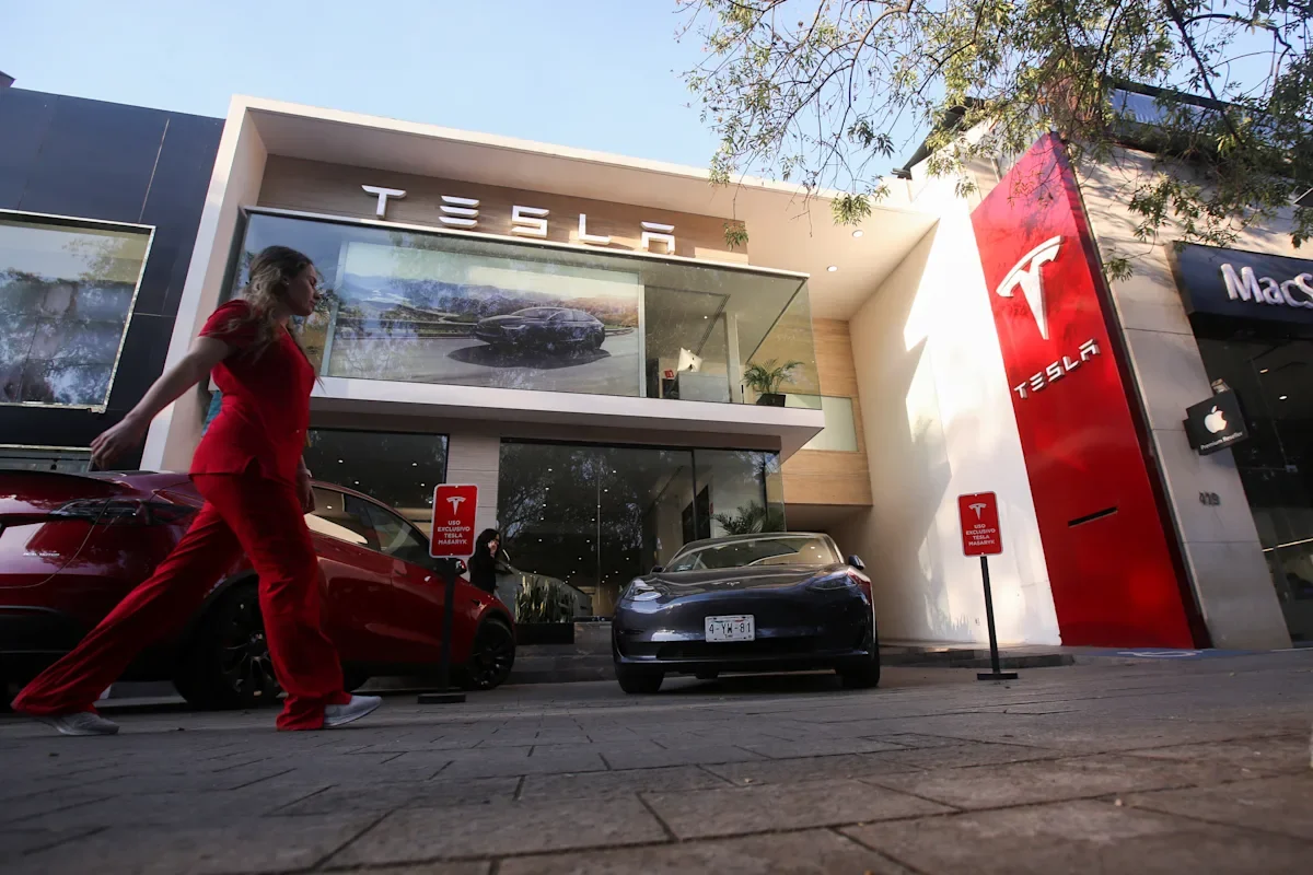 Tesla's Profit Concerns and Price Cuts Cause Stock to Plummet.