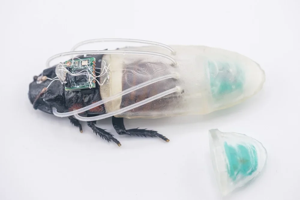 Amphibious cyborg cockroaches powered by a tiny scuba shell for underwater missions