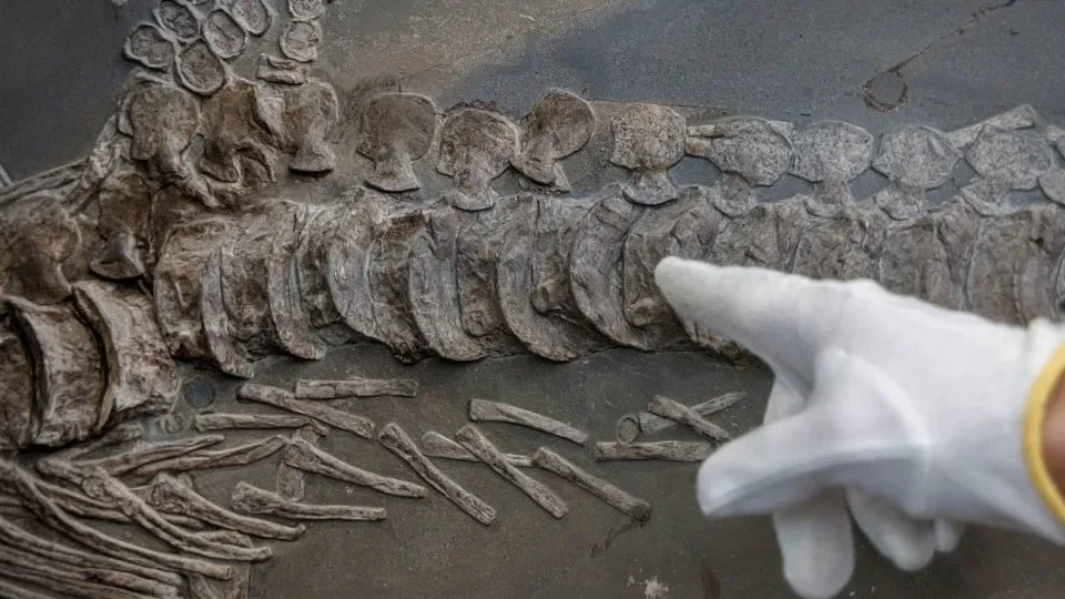 Could a lost civilization have reshaped Earth's climate long before humans?