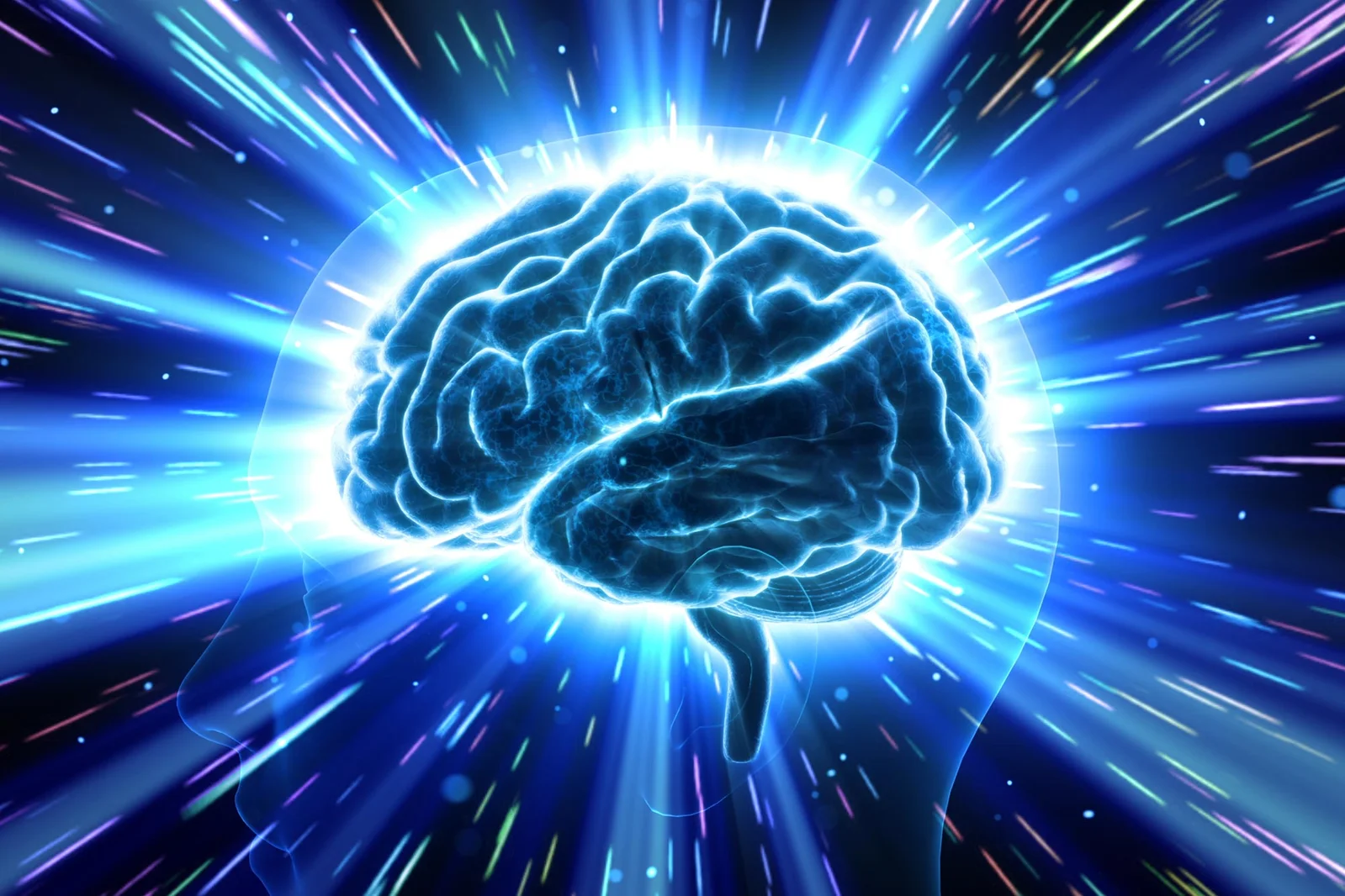 Brains Can Grow Across the Lifespan, Study Finds