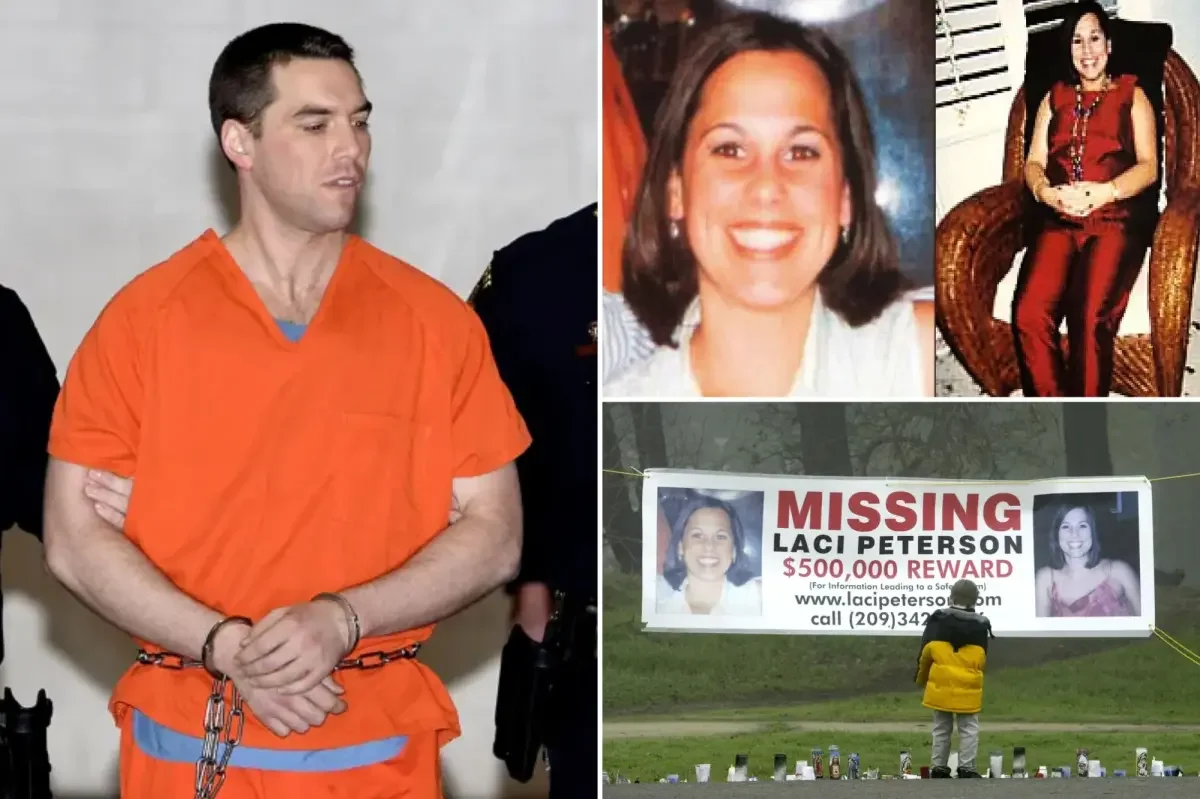 Ex-LAPD detective urges retrial in Scott Peterson case over overlooked witness leads
