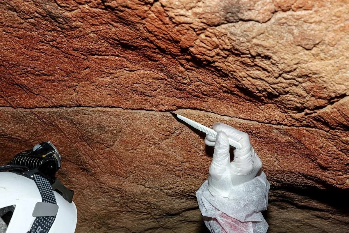 Ancient DNA traces found on cave walls, hinting at forgotten visitors