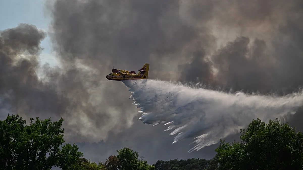 Fontainebleau forest blaze persists near Paris as 850 firefighters battle it