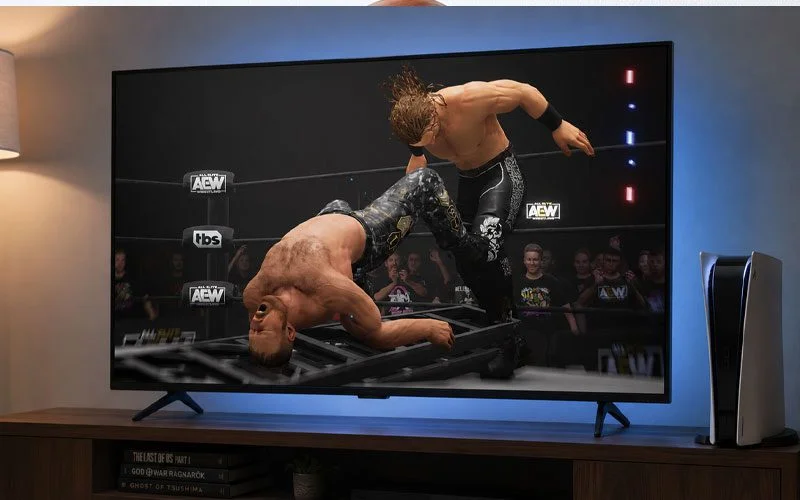 AEW Could Cut Costs on Future Wrestling Games Using Fight Forever Engine