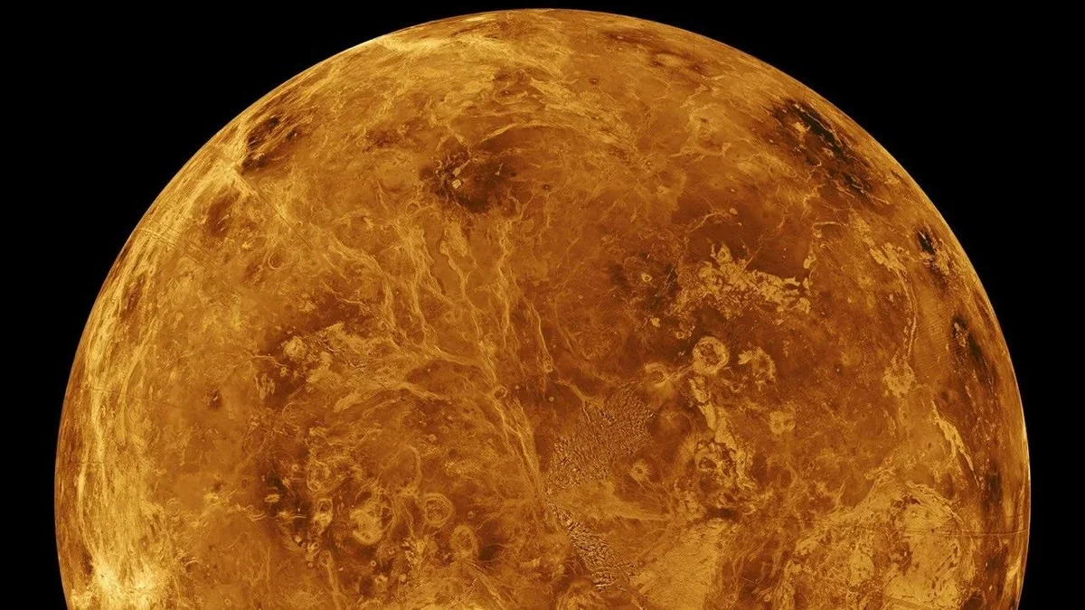 Earth-to-Venus Panspermia: Life Could Reach Venus' Clouds