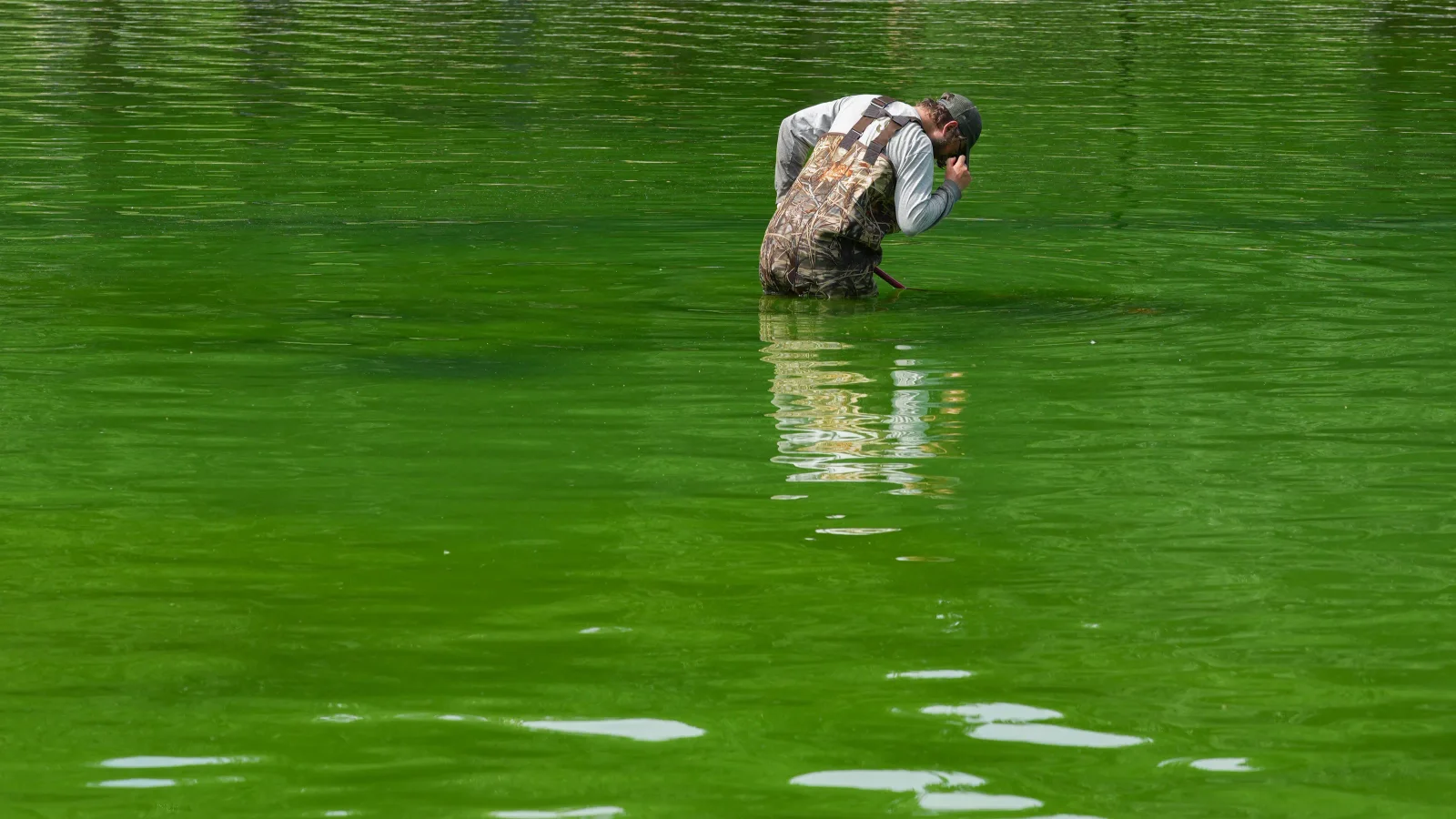 Hydrogen Peroxide and Nanobubbles Target Algae in Lincoln Memorial Pool