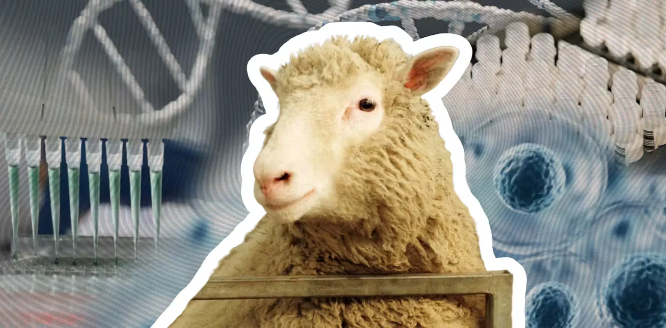 Dolly 30 Years On: Cloning Is a Nuanced Toolkit, Not a Sci‑Fi Takeover