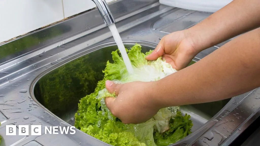 Cyclospora outbreak drives surge of diarrhoea cases across US states