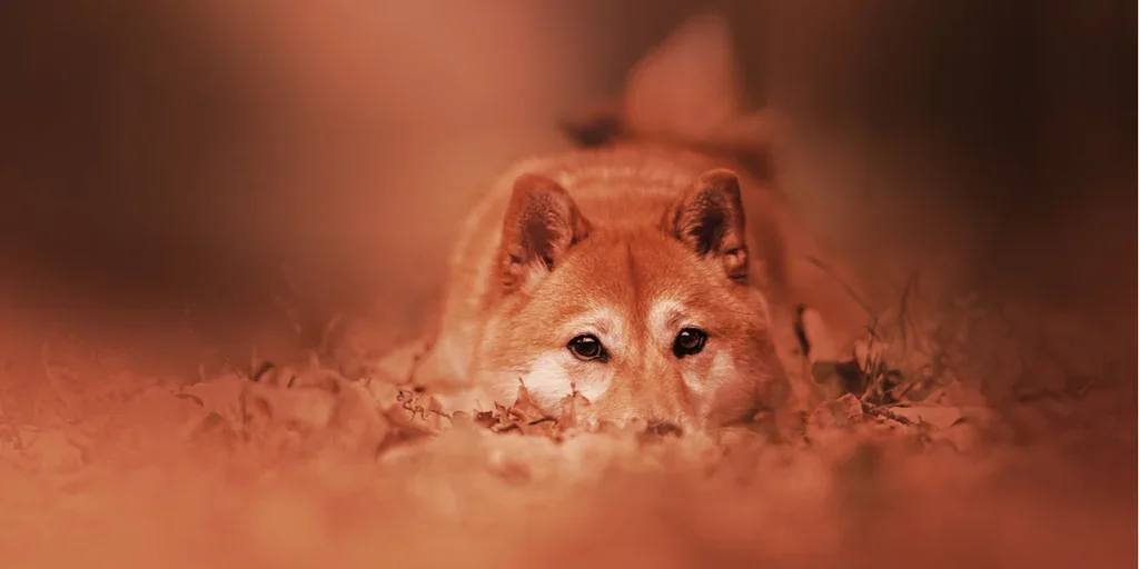 The Impact of Twitter on Dogecoin's Price and Popularity
