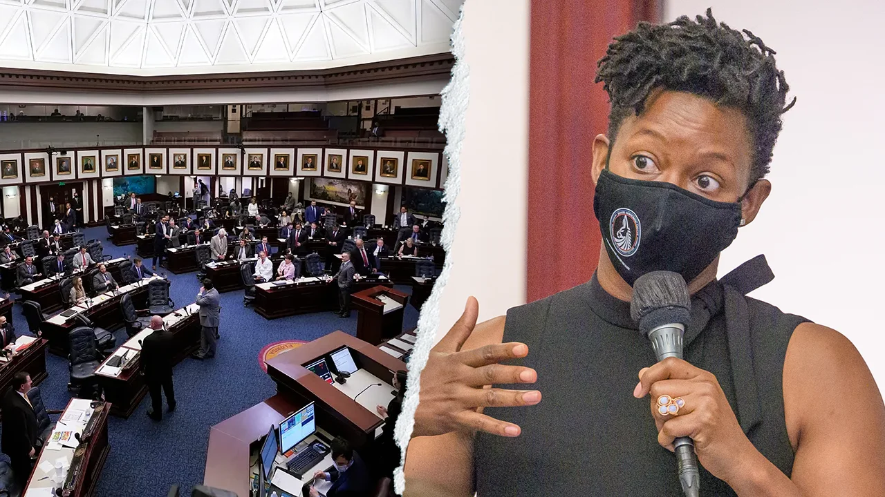 Pink-Jumpsuit Protester Disrupts Florida Redistricting Vote