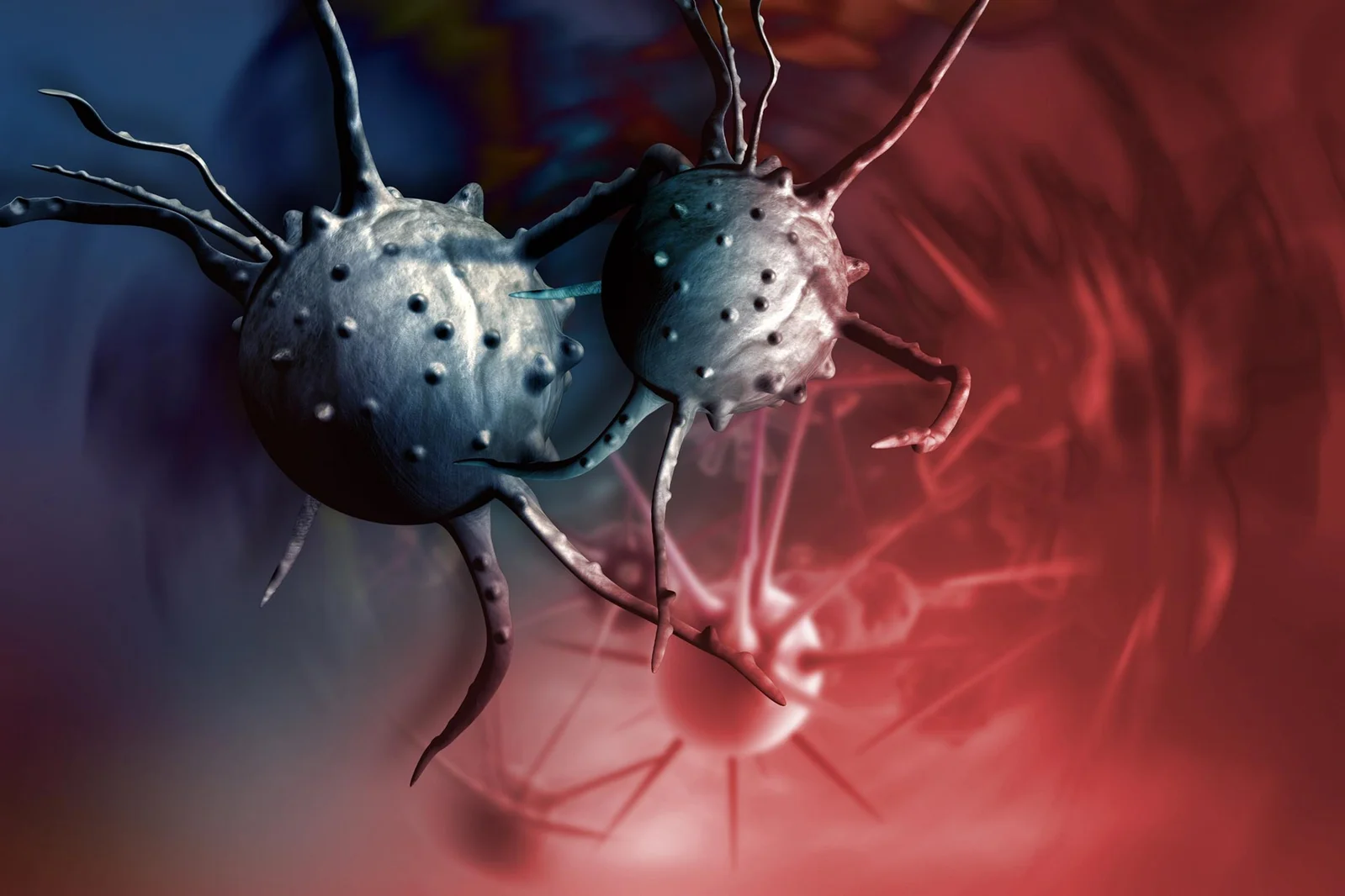 Never Married, Higher Cancer Risk Across Many Cancers, Large US Study Finds