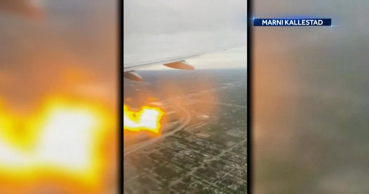 American Airlines flight experiences engine fire due to bird strike.