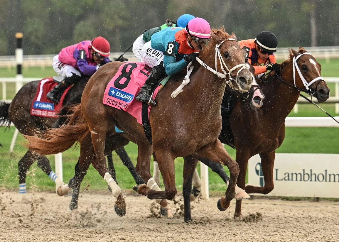 Puma Withdrawn From Kentucky Derby Over Leg Swelling