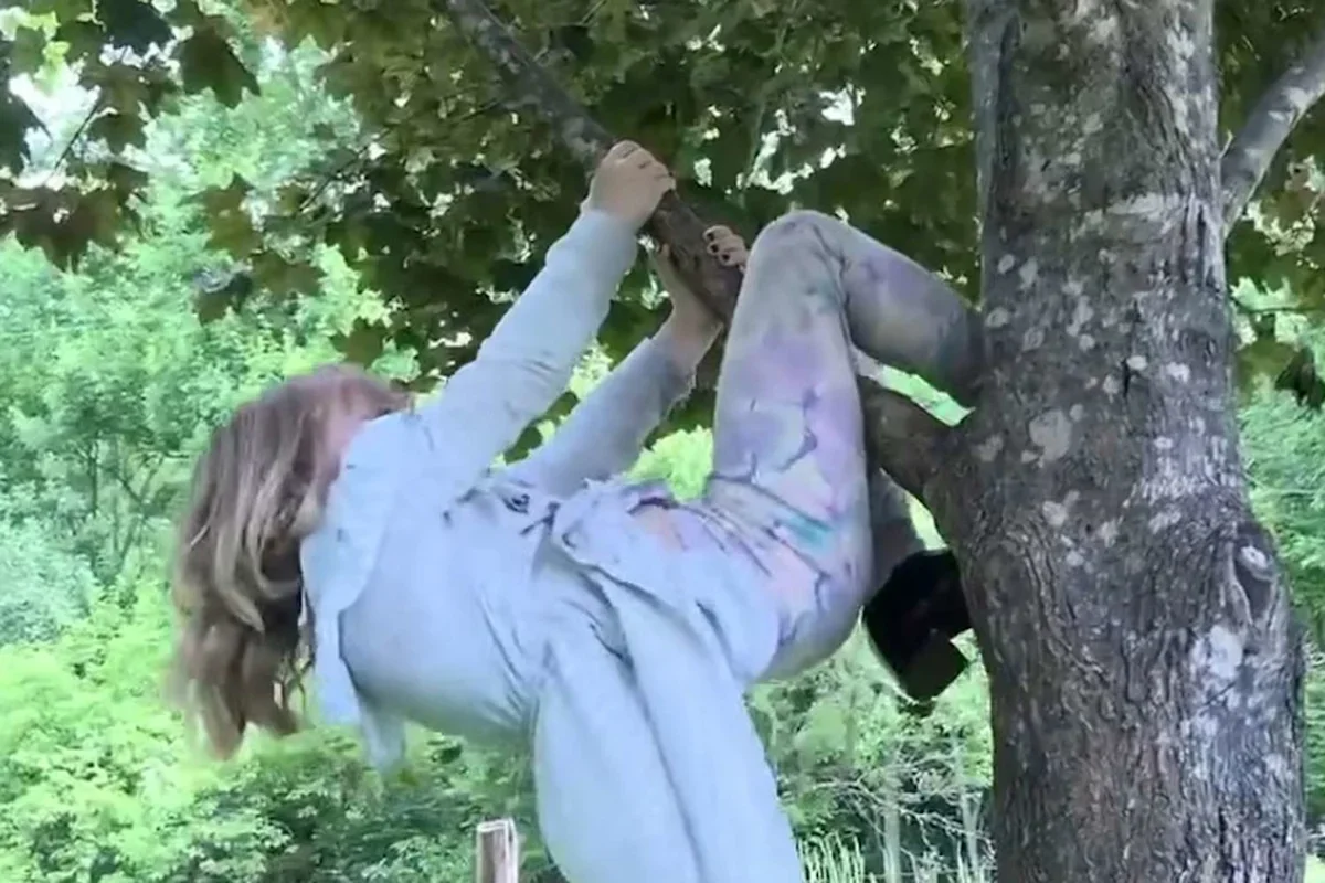 Wisconsin Girl Bitten by Rabid Bat While Climbing Tree Near Home