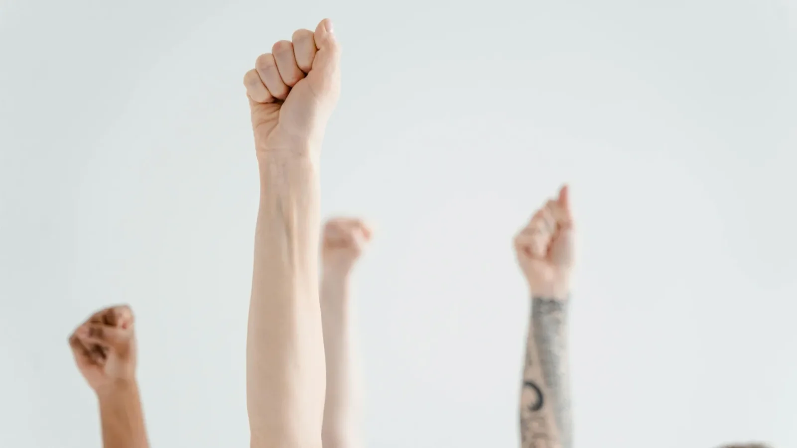 Two Evolutionary Shifts Pushed Humans Toward a Right-Hand Bias