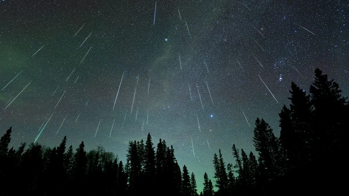 Ancient Neutron-Star Merger Left a Rain of Radioactive Stardust on Earth