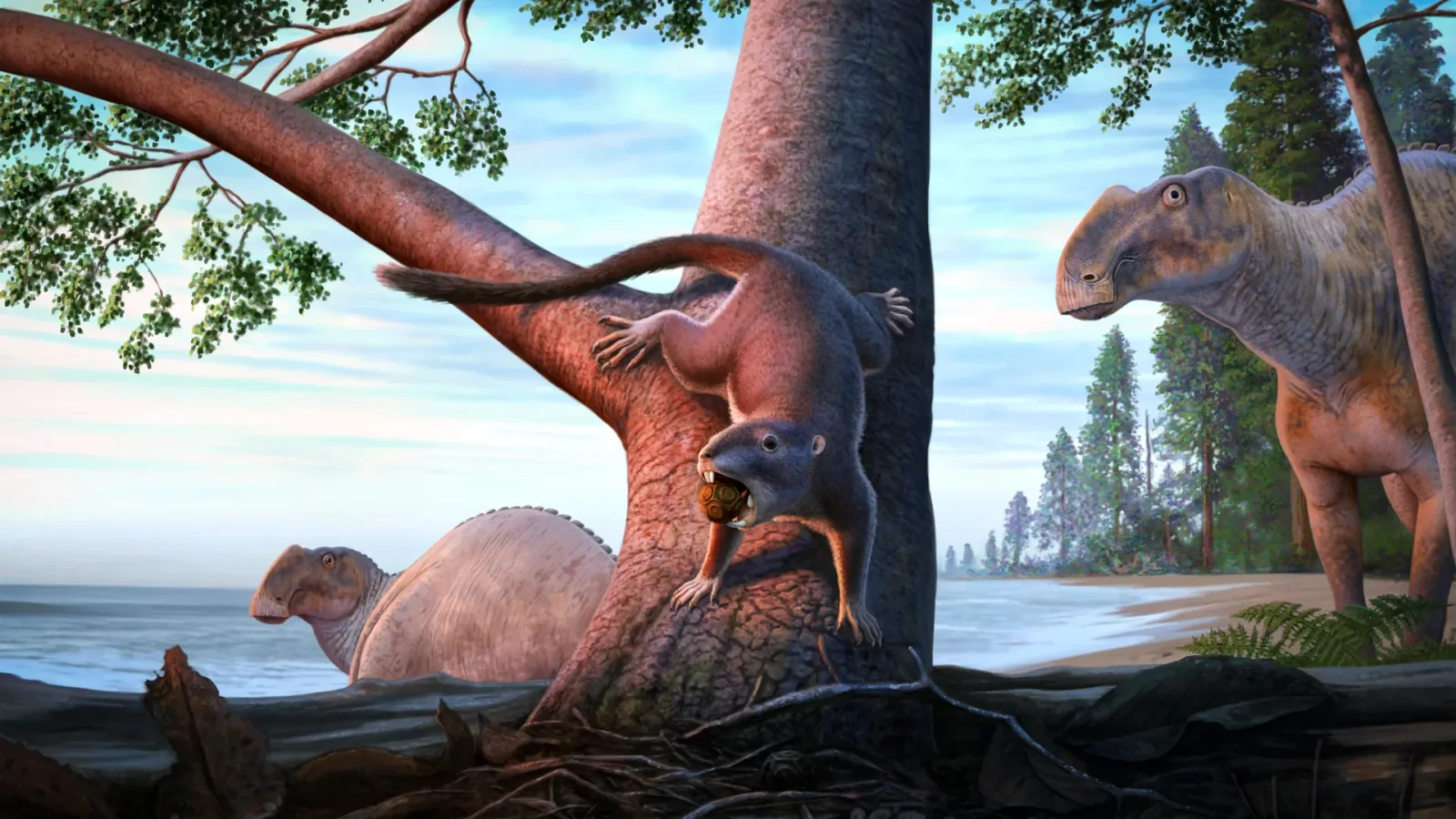 Tiny 75-million-year-old mammal offers clues on how mammals outlived the dinosaurs