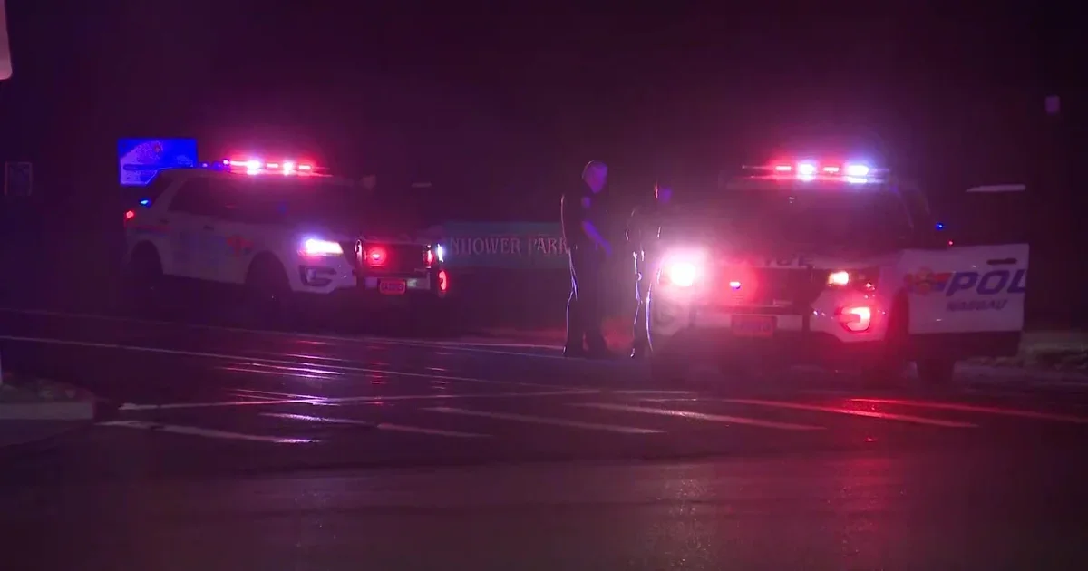 Park Shooting on Long Island Leaves Teen Dead and Two Wounded