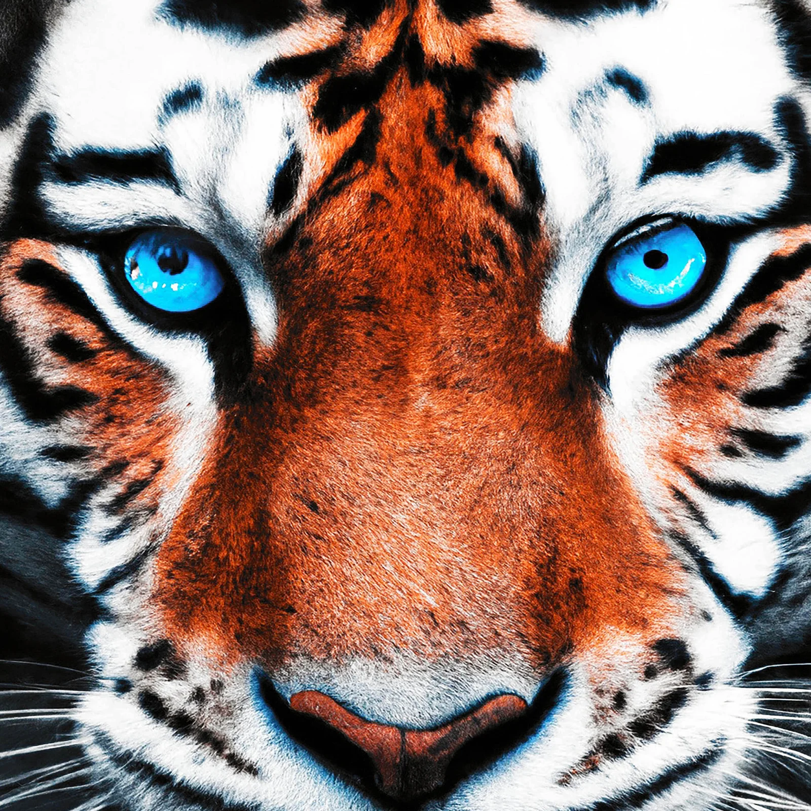 Camera Lets Humans See Colors Beyond Our Spectrum
