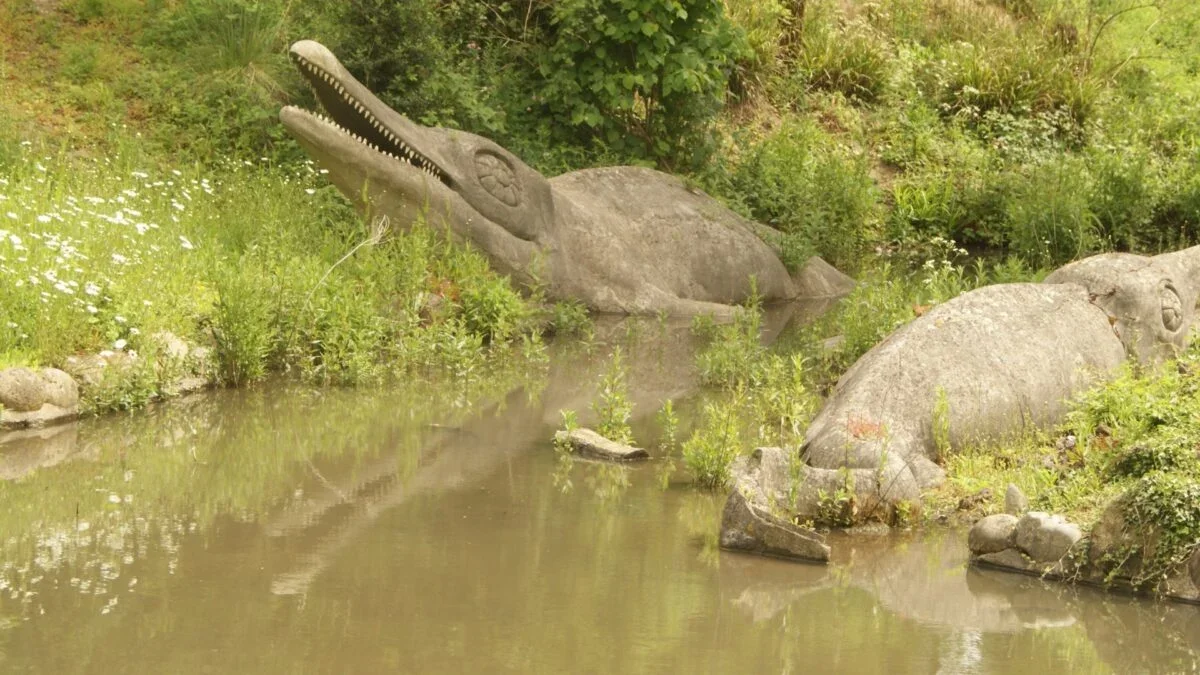 Colchester Pit Hints Romans Were Early Sea-Monster Fossil Collectors