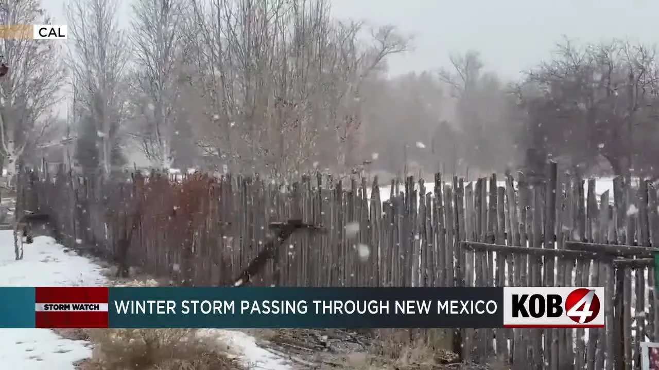 Winter Storm Brings Chaos and Travel Woes to Multiple US States