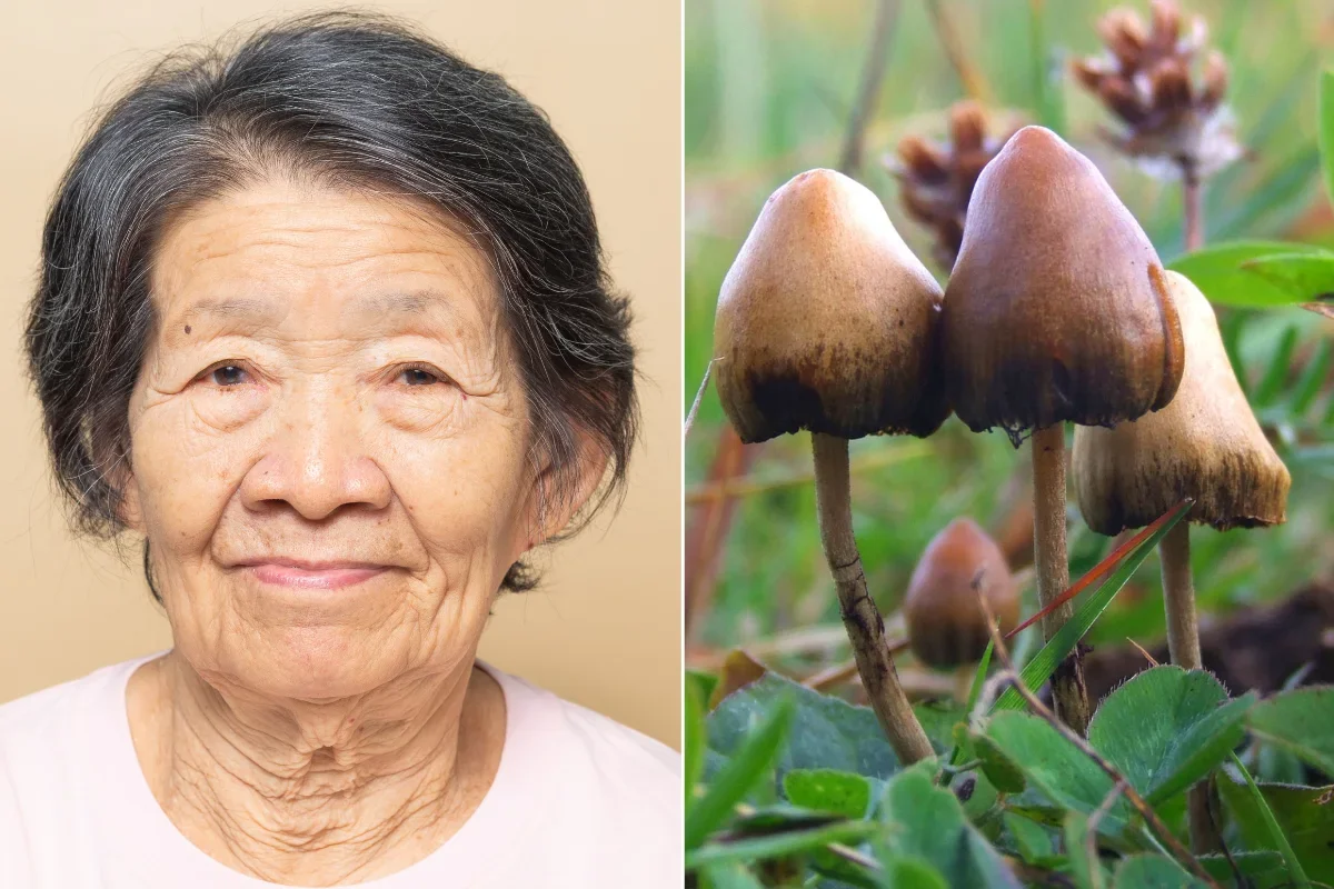 Psychedelic Breakthrough: Psilocybin Reawakens Speech in an Alzheimer’s Patient