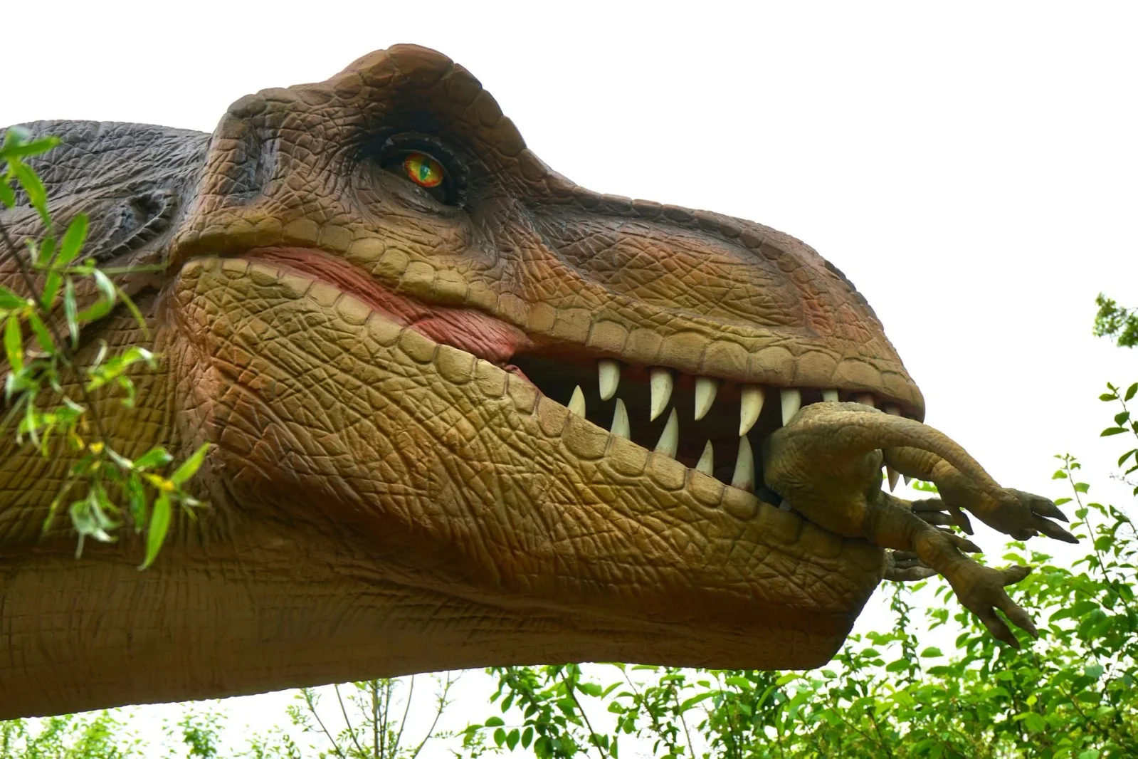 New Mexico Fossils Suggest Dinosaurs Thrived Right Before Extinction