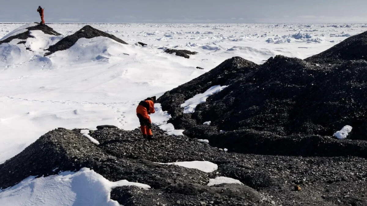 Arctic Icebergs Seed Hidden Coral Gardens on the Seafloor