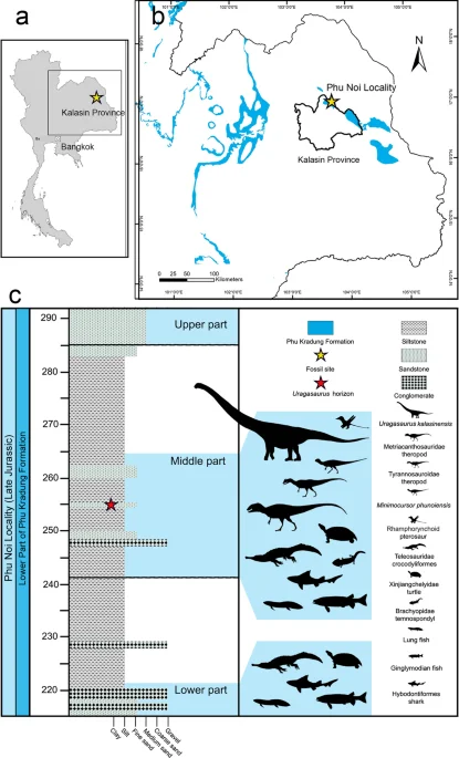 Uragasaurus kalasinensis: A new mamenchisaurid from Thailand reshapes Southeast Asian sauropod history