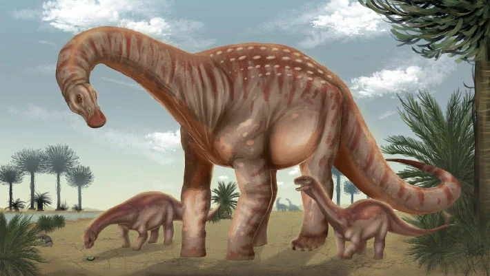 Uruguay Unveils New Aeolosaurini Titanosaur Species